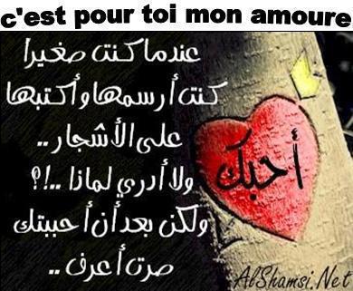 hadihi ljomla fikoli lkolob