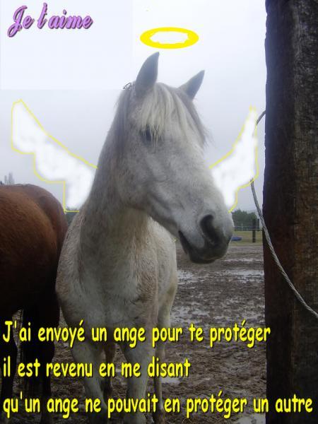 had l3awd kanabrih bzaf bzaf