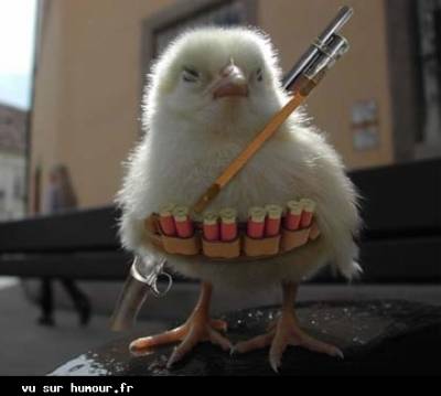 lyom namchi nsayad chi bodara3a