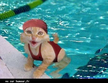 waw 3yit bach hal man flos nkato kan ayagra9o