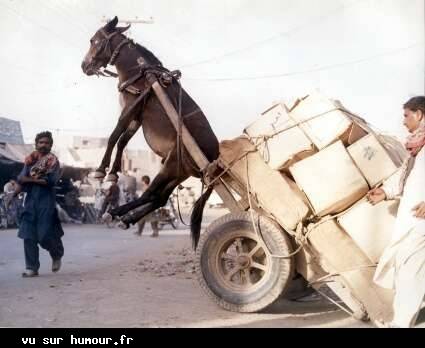 had lamgarba mkalkhin bazaf maskin lahmar takloh