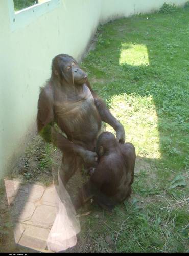 ta lakroda nadat fihom zamla