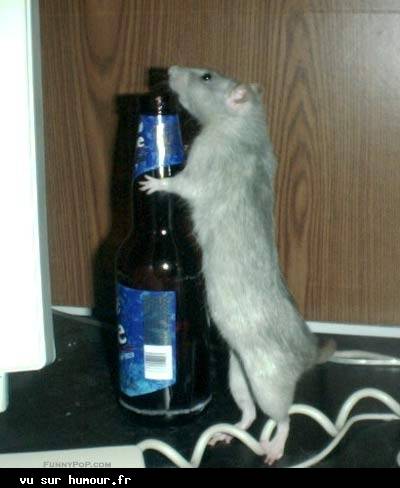 lfiran makaycharboch chrab ri kaychamoh